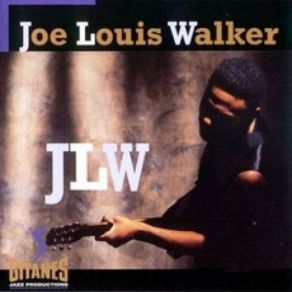 Download track Got To Find My Baby Joe Louis Walker