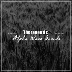 Download track Healing Earth Frequencies White Noise Baby Sleep