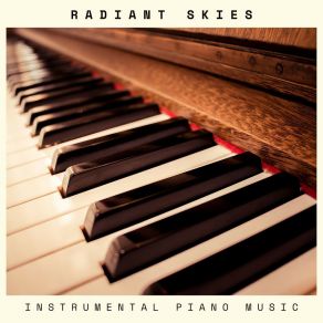 Download track Subtle Reflections Instrumental Music