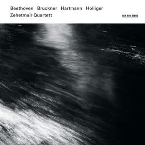 Download track 05 - String Quartet In C Minor, WAB 111 - 1. Allegro Moderato Zehetmair Quartett