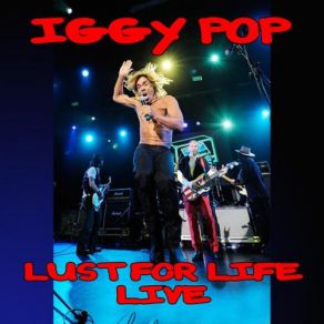 Download track No Fun - Live Iggy Pop