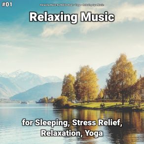 Download track Calming Ambient Sounds To Help You Sleep All Night Relaxing Spa Music