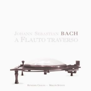 Download track Sonata In E Minor BWV 1034: IV. Allegro Miklos Spanyi, Benedek Csalog