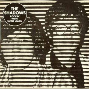 Download track Jumpin Jack Input The Shadows