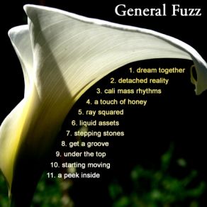 Download track Start Moving General Fuzz, James Kirsch