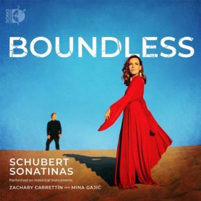 Download track Violin Sonata No. 2 In A Minor, Op. 137 No. 2, D. 385 I. Allegro Moderato Mina Gajić, Zachary Carrettín