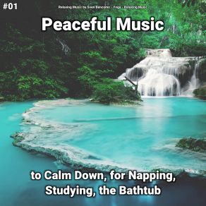 Download track Peaceful Music To Help Babies Sleep Relaxing Music