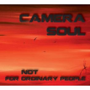 Download track I'M A Fool Camera Soul
