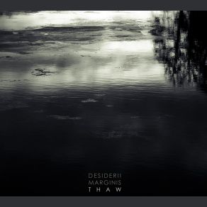 Download track Compression Desiderii Marginis