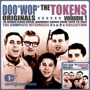 Download track When I Go To Sleep At Night The Tokens