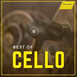 Download track Cello Concerto In A Minor, Wq. 170 I. Allegro Assai' David Geringas, Bruno Delepelaire