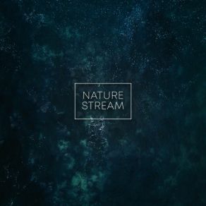 Download track Rustling Rain Rain Sounds