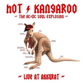 Download track It'S A Long Way To The Top Hot Kangaroo