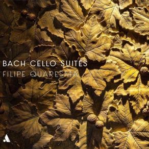 Download track 31 - Cello Suite No. 6 In D Major, BWV 1012 - I Prelude Johann Sebastian Bach