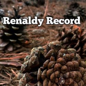 Download track Trying To Be Happy Renaldy Record