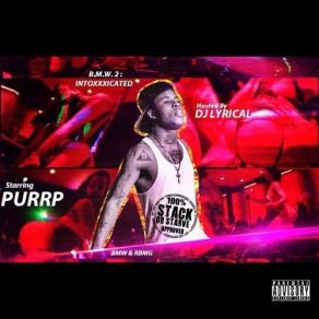Download track Introduction Purrp