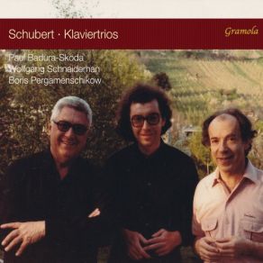 Download track Piano Trio No. 1 In B-Flat Major, Op. 99, D. 898- IV. Rondo. Allegro Vivace Paul Badura - Skoda, Wolfgang Schneiderhan, Boris Pergamenschikow