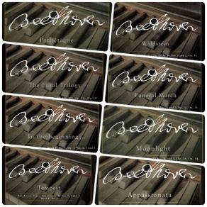 Download track 3 Sonatas For Piano WoO 47, No. 3 In D Major: II. Menuetto - Sostenuto Martin Roscoe