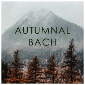 Download track 6 Kleine Präludien, BWV 933-938: 3. Prelude In D Minor, BWV 935 Walter Gieseking