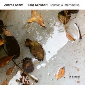 Download track 07. Piano Sonata No. 19 In C Minor, D. 958 - 3. Menuetto (Allegro) Franz Schubert