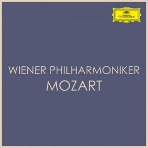 Download track Symphony No. 24 In B Flat, K. 182 1. Allegro Spiritoso Wiener Philarmoniker