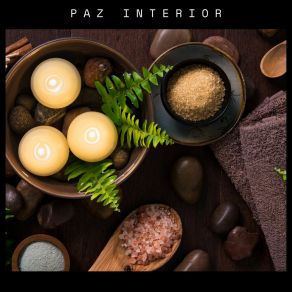 Download track Paz Profunda Musica De Spa