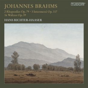 Download track Waltzes For Piano, Op. 39 No. 13 In B Major Hans Richter - Haaser