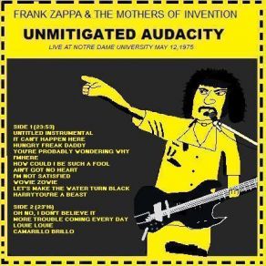 Download track How Could I Be Such A Fool Frank Zappa