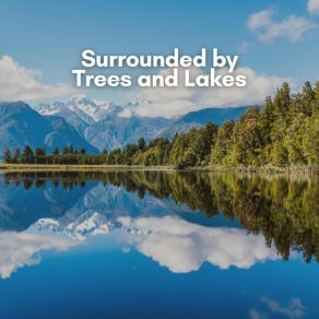 Download track Gentle Rain Nature's Relaxing Sounds Nature Of Sweden