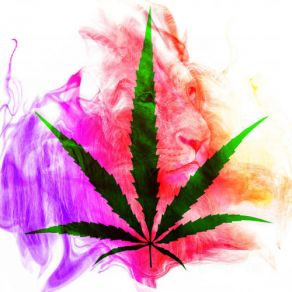 Download track Blackheart Reggae Smokin Chill 420