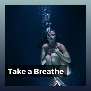 Download track Rest For A Bit Zen Minds