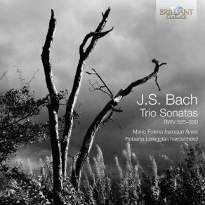 Download track 6. Trio Sonata No. 2 In C Minor BWV 526 - III. Allegro Johann Sebastian Bach
