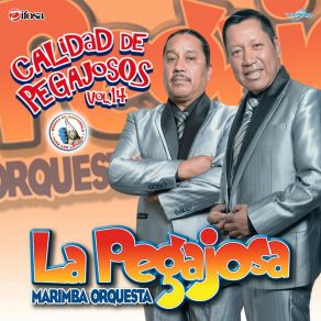 Download track Cual Adios Marimba Orquesta