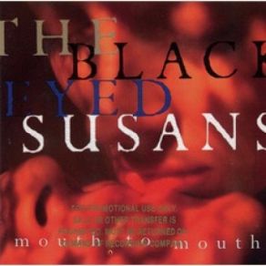 Download track As It Was The Blackeyed Susans
