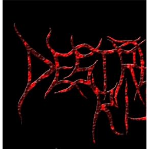 Download track Chaos In Theory And Practice Destruction Ritual