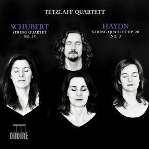 Download track 1. Schubert: String Quartet In G Major D887 - I. Allegro Molto Moderato Tetzlaff Quartett