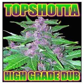 Download track High Grade Dub - Elephant Man & Mr. Vegas X Tekamine & Parallel [Bun It All Day] X [Eat Shit] Topshotta