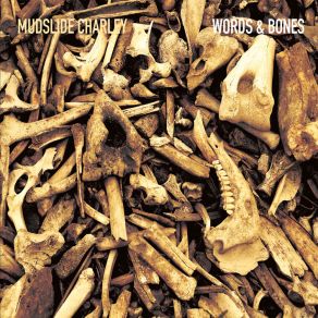 Download track Starting From Scratch MudSlide Charley