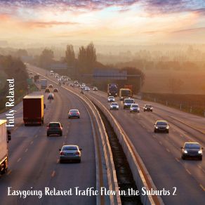 Download track Easygoing Relaxed Traffic Flow In The Suburbs, Pt. 7 Steve Brassel