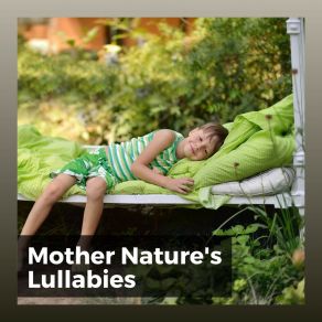 Download track When Does A Rainbow Occur In Nature Sonidos De La Naturaleza Para Dormir
