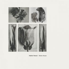 Download track Static Moment Hattori Hanzo