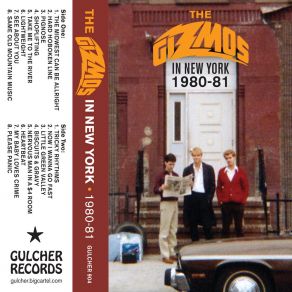 Download track Nervous Man In A$ 4 Room The Gizmos