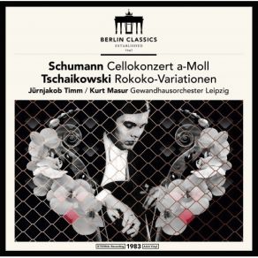 Download track 20. Cello Suite No. 2 In D Minor, BWV 1008 - II. Allemande Jürnjakob Timm, Gewandhausorchester Dresden