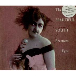 Download track Why Can'T I Beautiful South, The