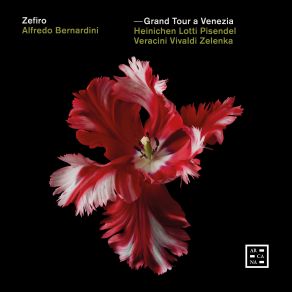 Download track Vivaldi: Concerto Per L'orchestra Di Dresda In G Minor, RV 577: I. [Allegro] Alfredo Bernardini, ZefiroRoberto Alegro