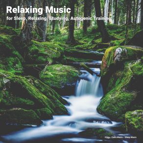 Download track Incomparable Relaxation Music Sleep Music
