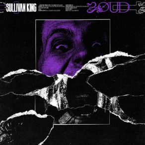 Download track I've Got A Plan Sullivan King