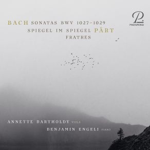 Download track Pärt: Spiegel Im Spiegel (Version For Viola And Piano) Benjamin Engeli, Annette Bartholdy