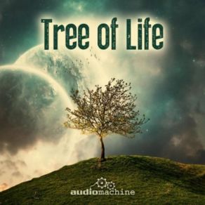Download track A Double In Diamonds - M272 Never Let It Be Said [Take 2] Audiomachine, Edwin Astley