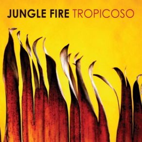 Download track Rompecuero (Intro) Jungle Fire